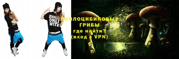 ГАЛЛЮЦИНОГЕННЫЕ ГРИБЫ Алексеевка