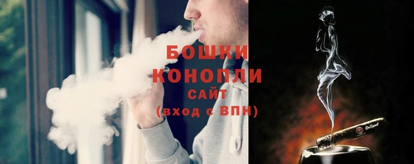 ГАЛЛЮЦИНОГЕННЫЕ ГРИБЫ Алексеевка