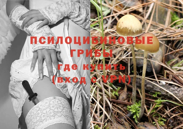 ГАЛЛЮЦИНОГЕННЫЕ ГРИБЫ Алексеевка