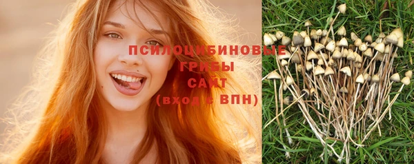 соль курить ск Алзамай