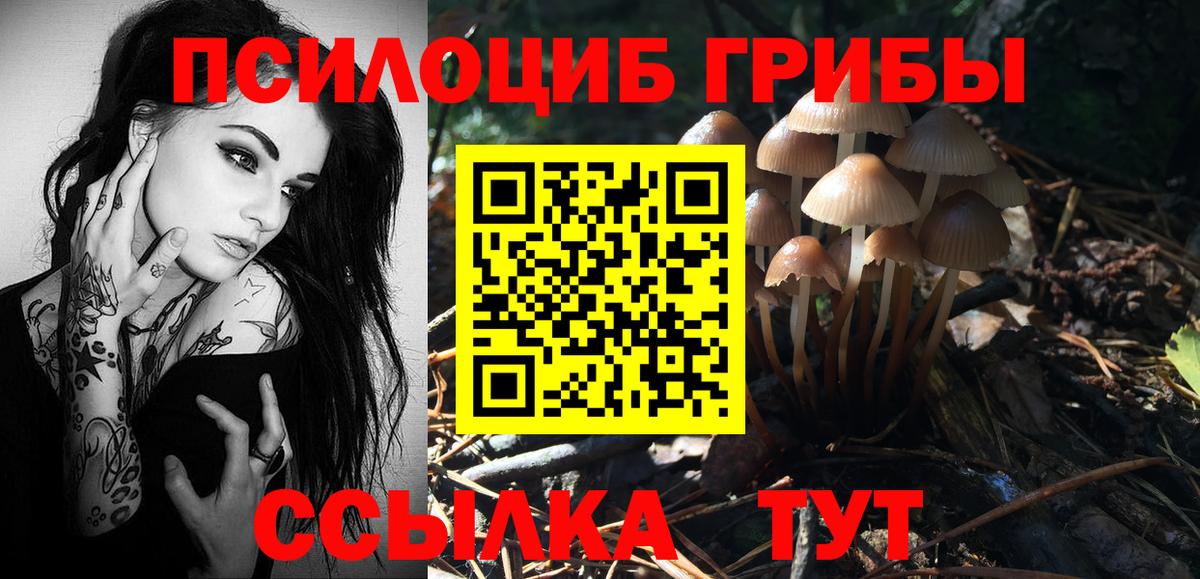 Псилоцибиновые грибы MAGIC MUSHROOMS Бирск