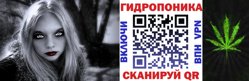 где продают наркотики  мега маркетплейс  Канабис OG Kush  Бирск 